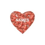 love test names android application logo